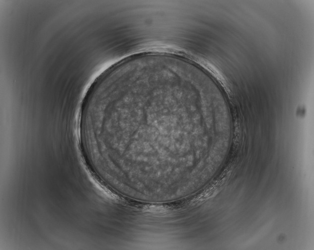 X0000098001128200804211124