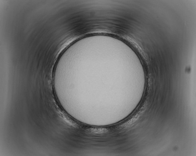 X0000098001129200804211124