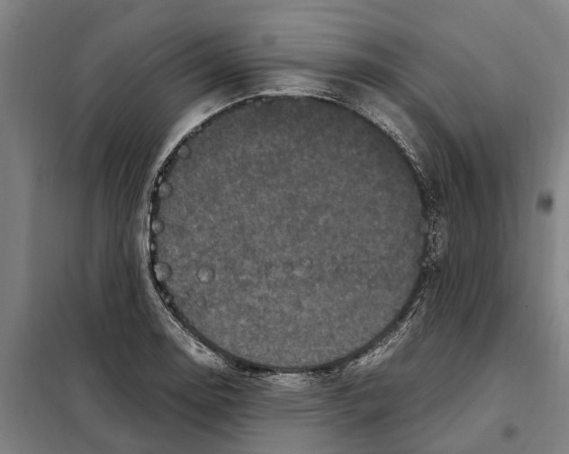 X0000098001130200804211124