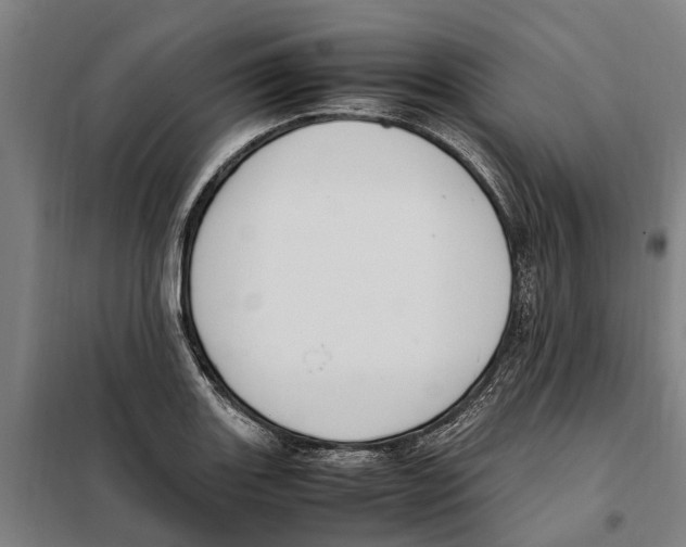 X0000098001131200804211124