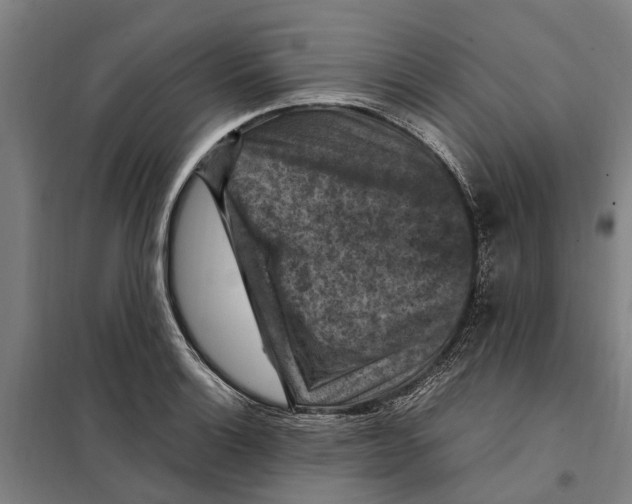 X0000098001132200804211124