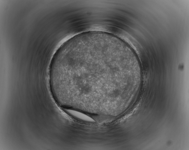 X0000098001133200804211124