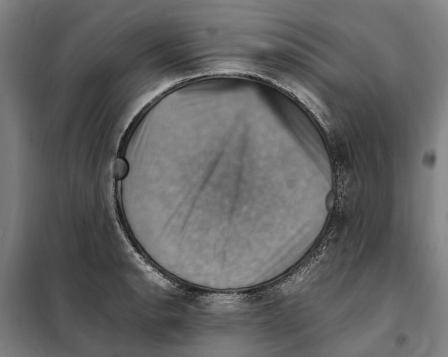 X0000098001134200804211124