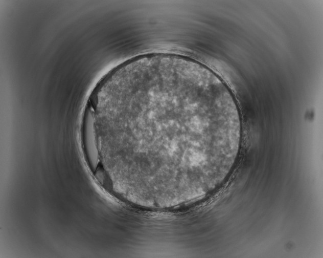 X0000098001136200804211124