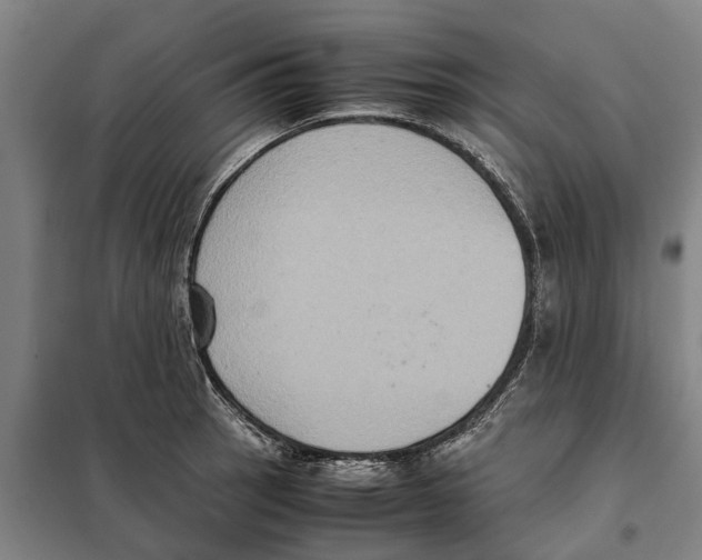 X0000098001137200804211124