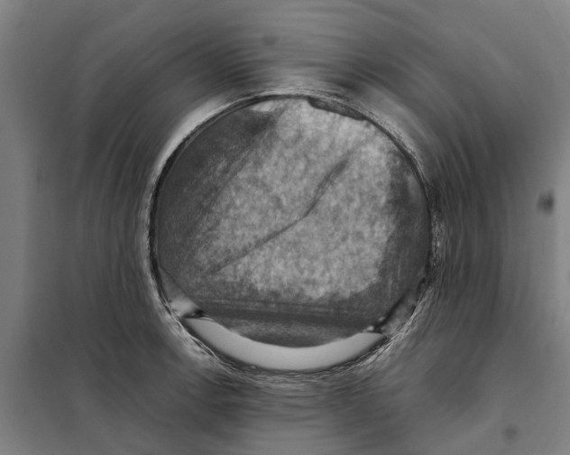 X0000098001138200804211124