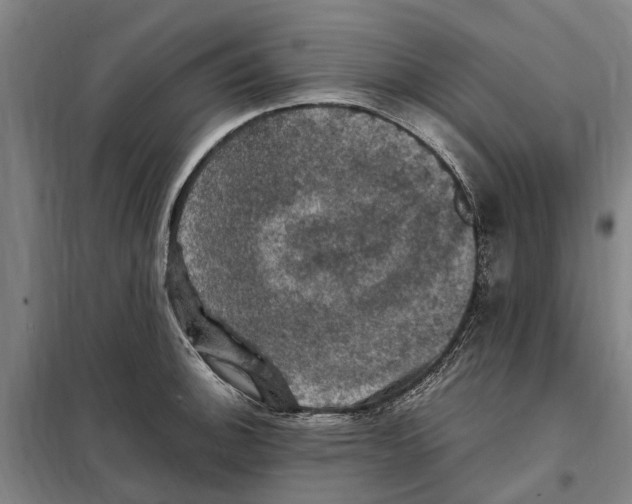 X0000098001140200804211124
