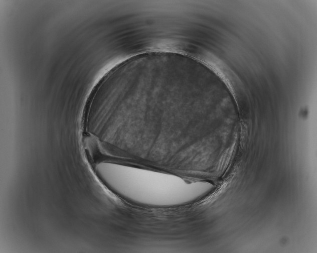 X0000098001141200804211124