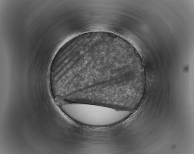 X0000098001142200804211124