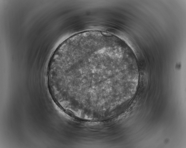 X0000098001143200804211124