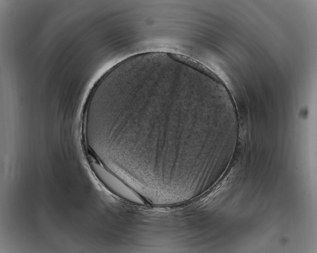 X0000098001144200804211124