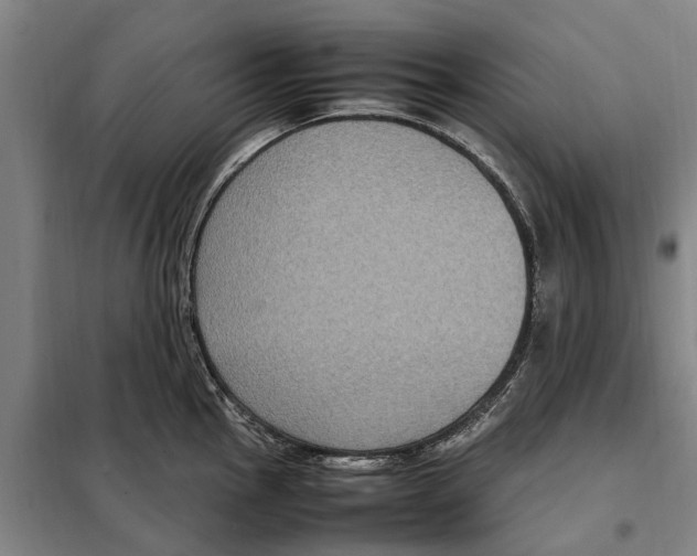 X0000098001145200804211124