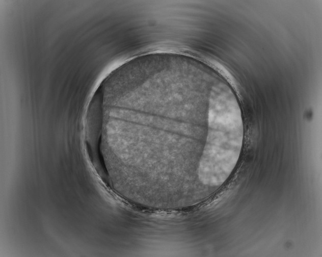 X0000098001146200804211124