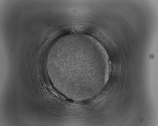 X0000098001153200804211123