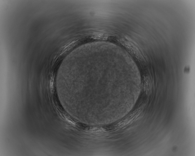 X0000098001154200804211123