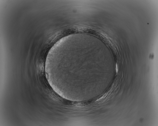 X0000098001155200804211123