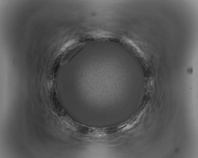 X0000098001157200804211123