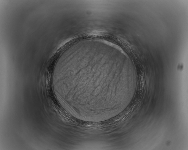 X0000098001158200804211123