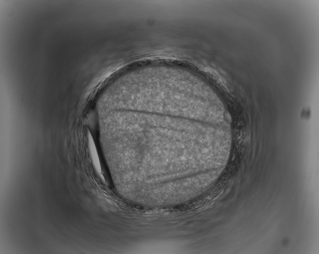 X0000098001159200804211123