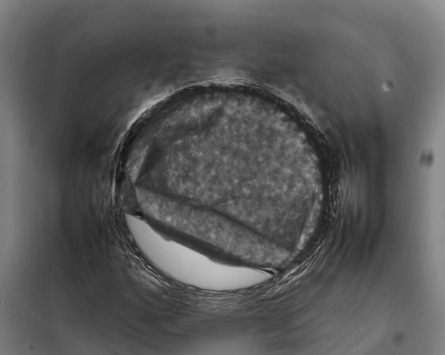 X0000098001160200804211123