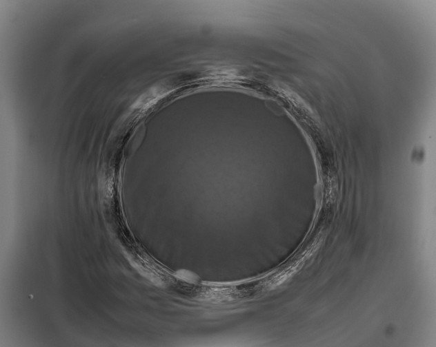 X0000098001161200804211123