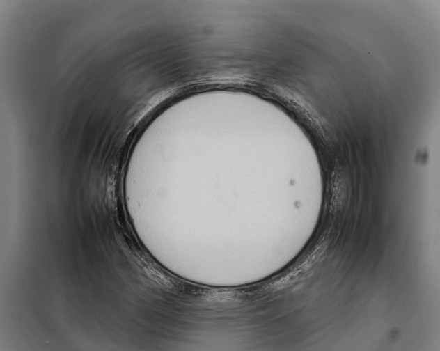X0000098001162200804211123