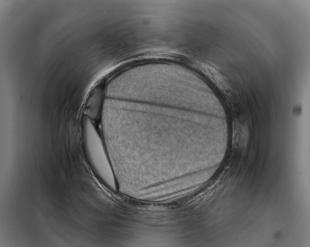X0000098001164200804211123