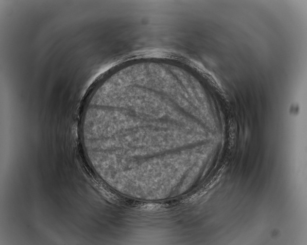 X0000098001166200804211123