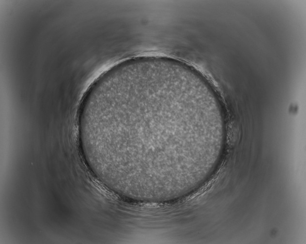 X0000098001167200804211123
