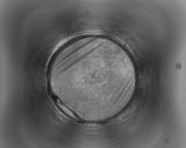 X0000098001168200804211123