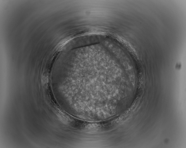 X0000098001169200804211123