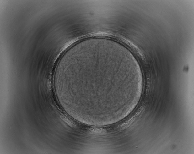 X0000098001170200804211123