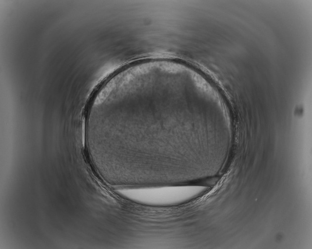 X0000098001171200804211123