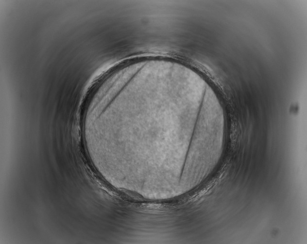 X0000098001172200804211123