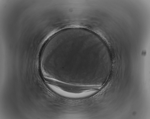 X0000098001173200804211123