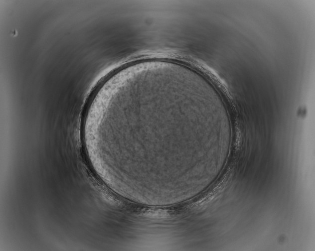 X0000098001174200804211123