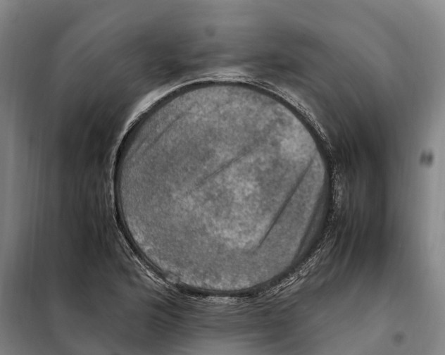X0000098001176200804211123