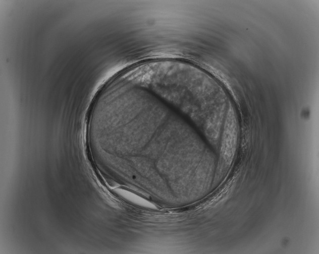 X0000098001179200804211123