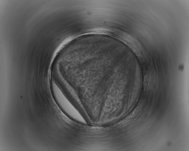 X0000098001180200804211123