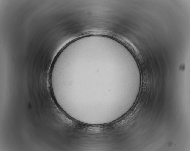 X0000098001182200804211123
