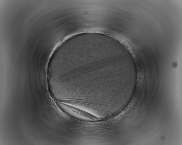 X0000098001184200804211123