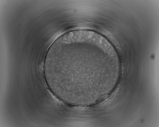 X0000098001185200804211123