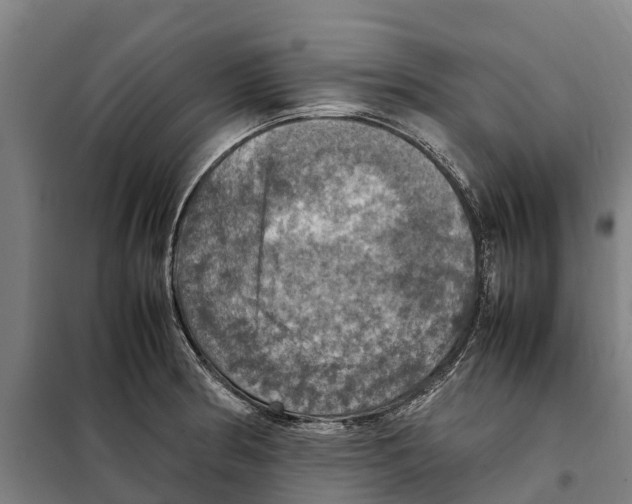 X0000098001186200804211123