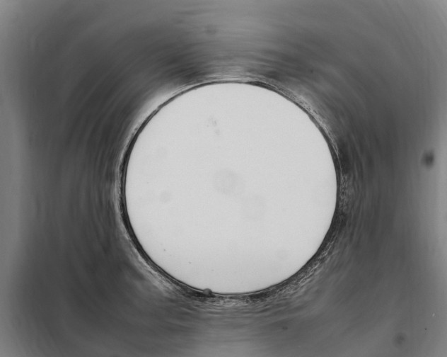X0000098001187200804211123
