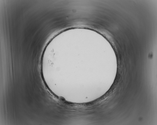 X0000098001191200804211123