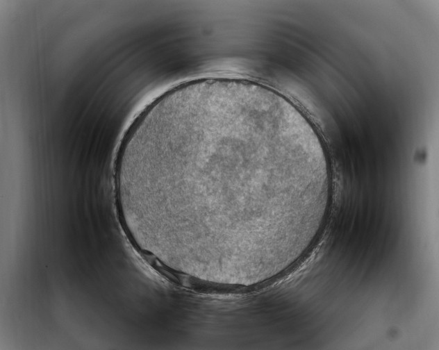 X0000098001192200804211123