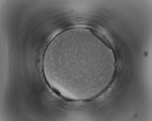 X0000098001193200804211122