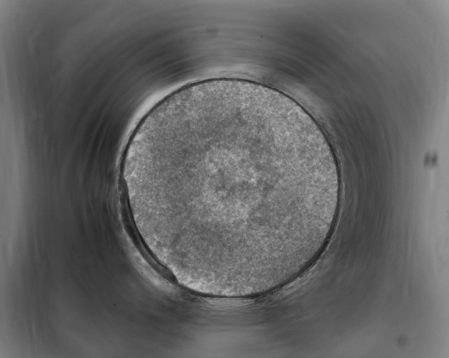 X0000098001200200804211122