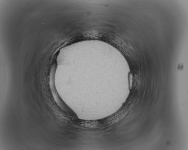 X0000098001201200804211122