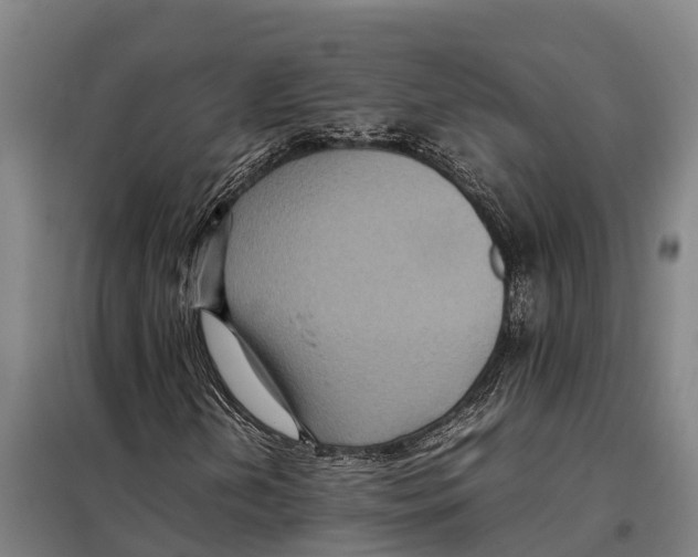 X0000098001202200804211122